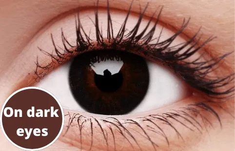 Basic Grey Coloured Contact Lenses
