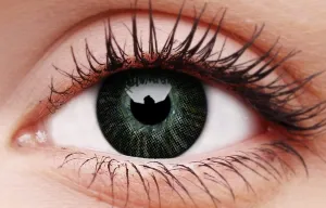 Basic Grey Coloured Contact Lenses