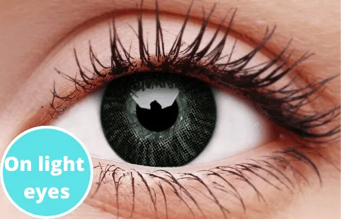 Basic Grey Coloured Contact Lenses