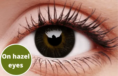 Basic Grey Coloured Contact Lenses