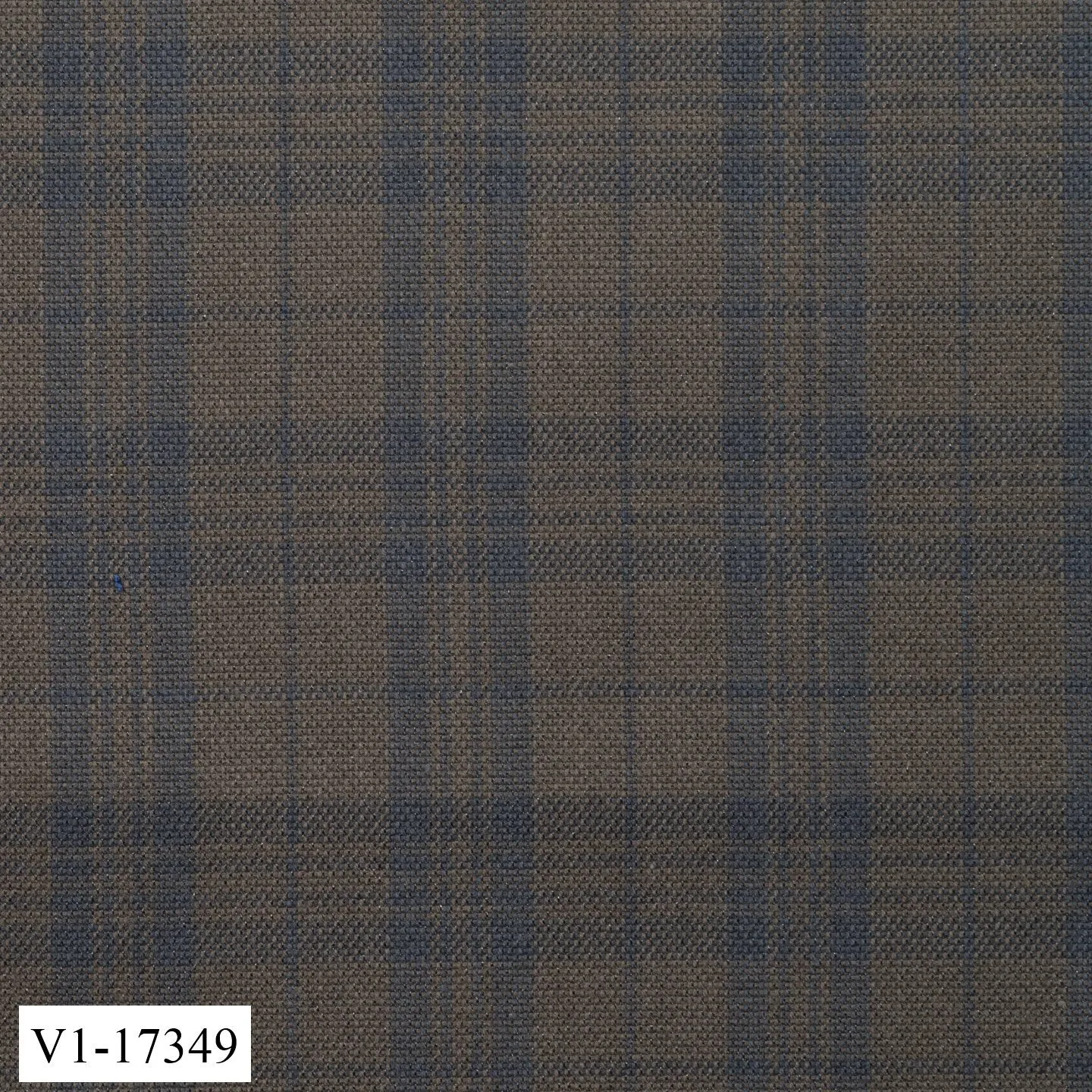 Light Brown with Blue Check Suit