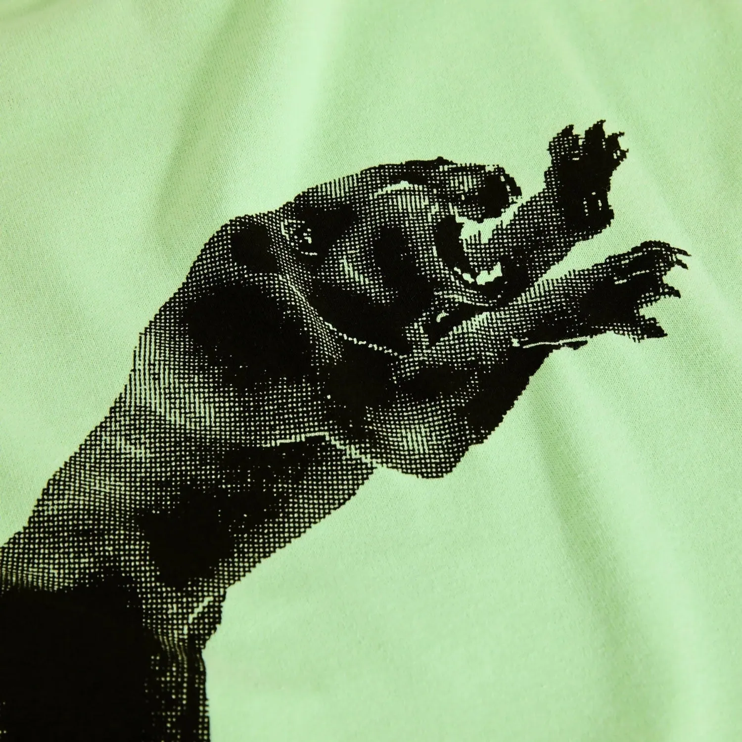 Polar Tape And Panther T-Shirt - Mint Green