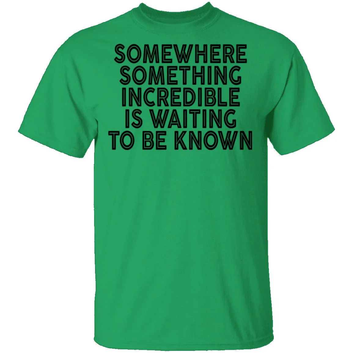 Somewhere Something Incredible Is Waiting To Be Known T-Shirt